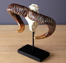 Load image into Gallery viewer, Antique Wild Goat Skull Sculpture Handmade