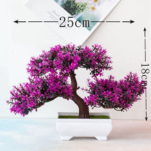 Load image into Gallery viewer, Bonsai Small Tree with Pot
