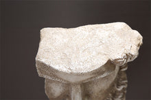 Load image into Gallery viewer, Human Face Resin Decoration Sculpture
