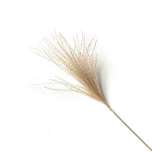 Load image into Gallery viewer, Real pampas grass décor
