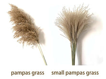 गैलरी व्यूवर में इमेज लोड करें, Real pampas grass décor
