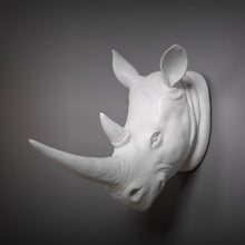Load image into Gallery viewer, Exotic Rhinoceros Head
