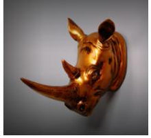 Load image into Gallery viewer, Exotic Rhinoceros Head
