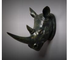 Load image into Gallery viewer, Exotic Rhinoceros Head
