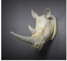 Load image into Gallery viewer, Exotic Rhinoceros Head
